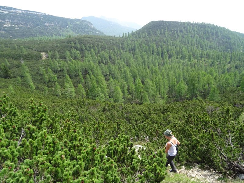 Becco della Ceriola e Cima del Campigolt......Vigolana